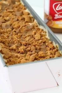 Homemade Biscoff Ice Cream Bars Recipe 3