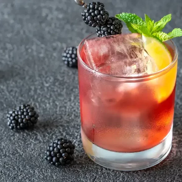 Blackberry Bramble Cocktail Recipe