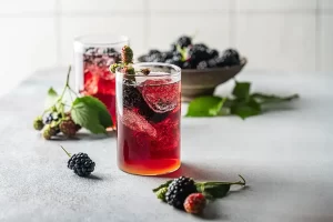 Blackberry-Bramble-Cocktail