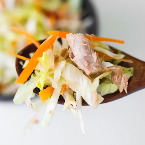 Coleslaw Recipe for Pulled Pork Recipe