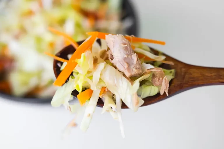 Coleslaw Recipe for Pulled Pork Recipe Coleslaw Recipe for Pulled Pork Recipe