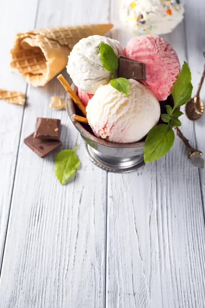 Cuisinart ice cream maker
